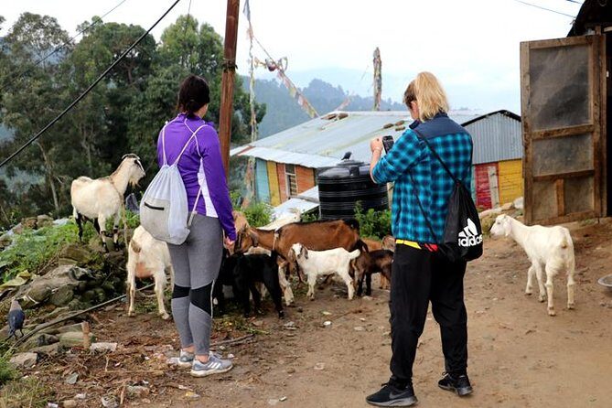 Nagarkot to Chisapani Trek around Kathmandu - 3 Days - Frequently Asked Questions