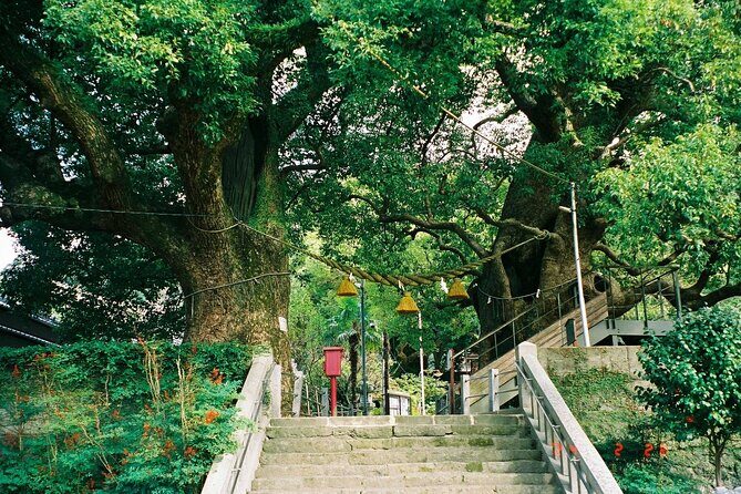 Nagasaki Peace Park and Atomic Bomb Museum - An In-Depth Look at the Tour Experience