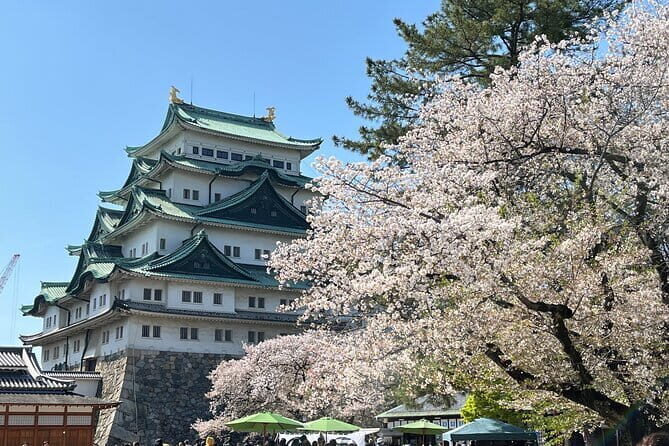 Nagoya Castle Visit & Folding Fan Workshop - Discovering Nagoya Castle: More Than Just a View