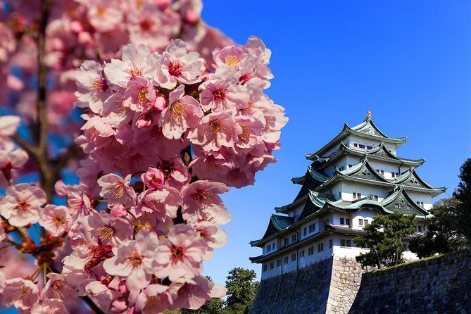 Nagoya One Day Tour with a Local: 100% Personalized & Private - Key Points