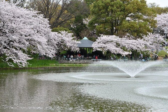 Nagoya Private Customizable Full Day Tour - Key Points