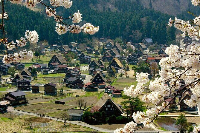 Nagoya to Takayama & Shirakawa World Heritage English Guide - Frequently Asked Questions