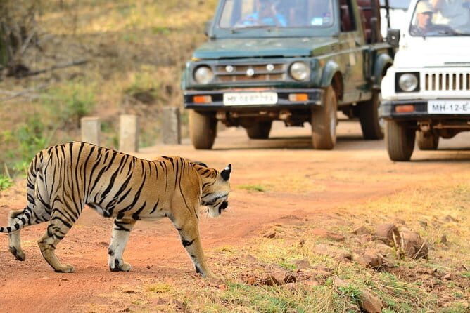 Nagpur to Bhopal via Pench & Satpura National Park - Key Points