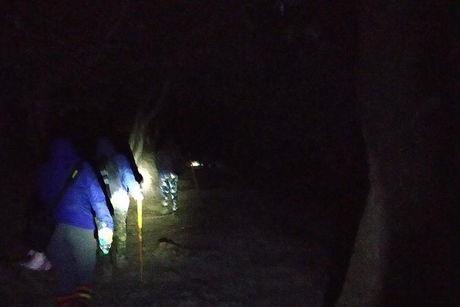 Nagtibba Trek (Pantwari to Pantwari) - The Perfect Introduction to Himalayan Trekking