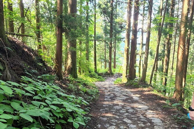 Nakasendo Samurai Trail Tour - An In-Depth Look at the Nakasendo Samurai Trail Tour