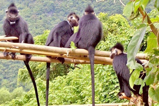 Nam Cat Tien National Park 2 Days 1 Night Tour - The First Day: Into the Heart of Nature