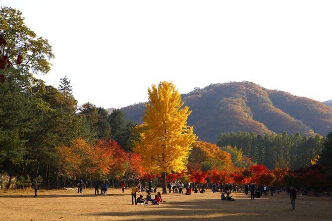 Nami & Alpaca World & Railbike & Garden Light Festival - An In-Depth Look at the Tour Experience