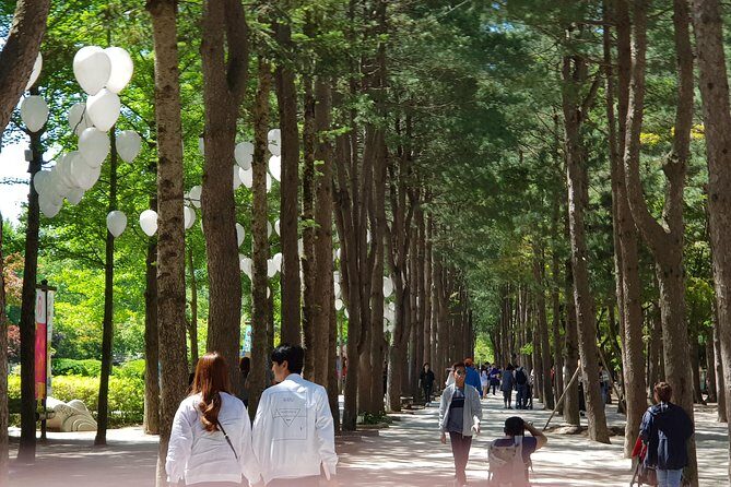 Nami Island and Petite France - Filming location - Why This Tour Works for You