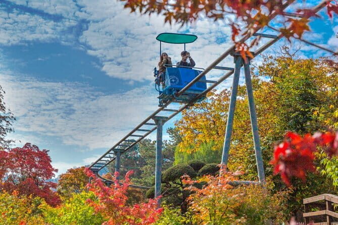 Nami Island and Rail Bike Day Trip from Seoul - Detailed Breakdown of the Itinerary