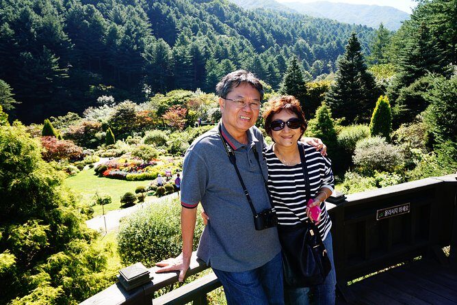 Nami Island from Seoul: Petit France and Garden of Morning Calm - Why This Tour Works Well for Travelers