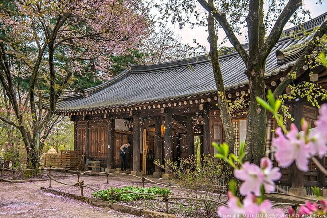 Nami Island, Garden of Morning Calm Tour with Rail Bike Option - How the Tour Begins and Transport Logistics