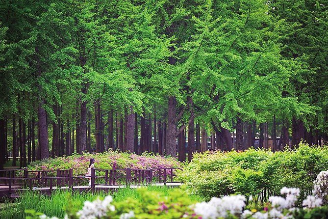 Nami Island& Petite France& Garden of Morning Calm& Italian Village One-Day Tour - FAQs