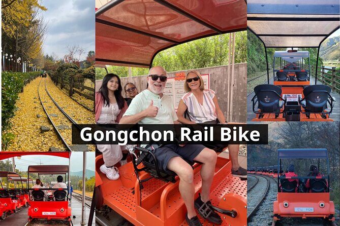 Nami Island & Petite France & Italian Village & Gangchon Rail Bike One-Day Tour - An In-Depth Look at the Tour Experience