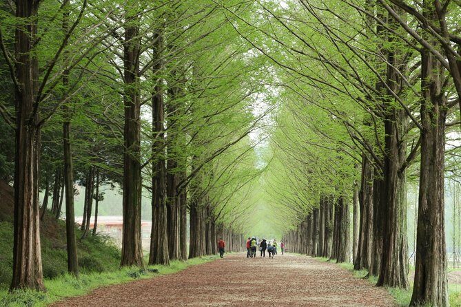 Nami Island & Petite France with Italian Village One-Day Tour - Exploring the Itinerary in Detail