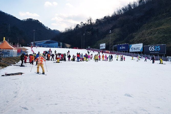 Nami Island + Ski Tour - Final Thoughts: Is This Tour Worth It?