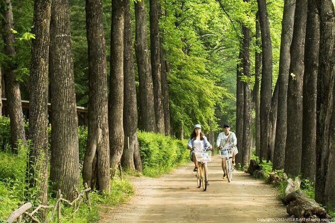 Nami Island Trip with Petite France & Italian Village and Gangchon Rail Bike - FAQ