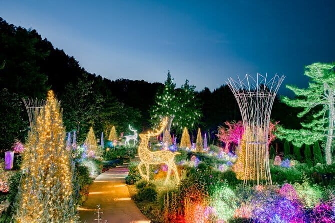 Nami & Petite France & Morning calm & Garden Light Festival - Discovering the Highlights of the Tour