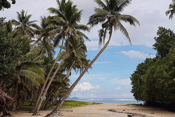 Namua Turtle Island and Eastern Upolu Tour - Who Will Love This Tour?