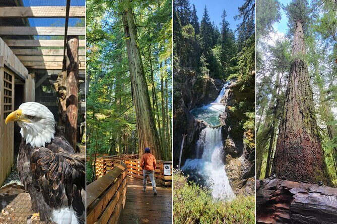 Nanaimo: Cathedral Grove, Waterfalls and Animal Sanctuary - Key Points