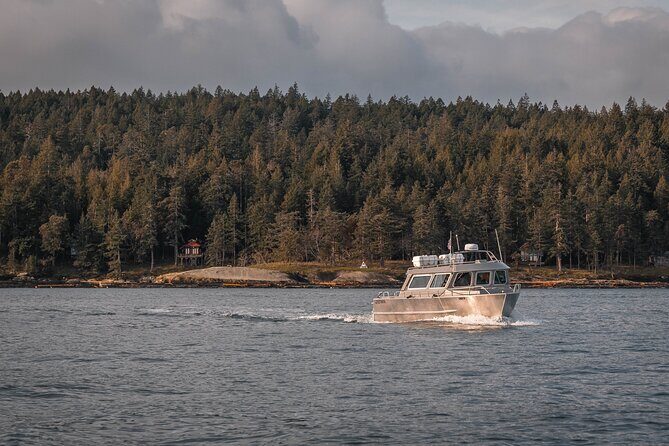 Nanaimo Private Whale Watching - Key Points