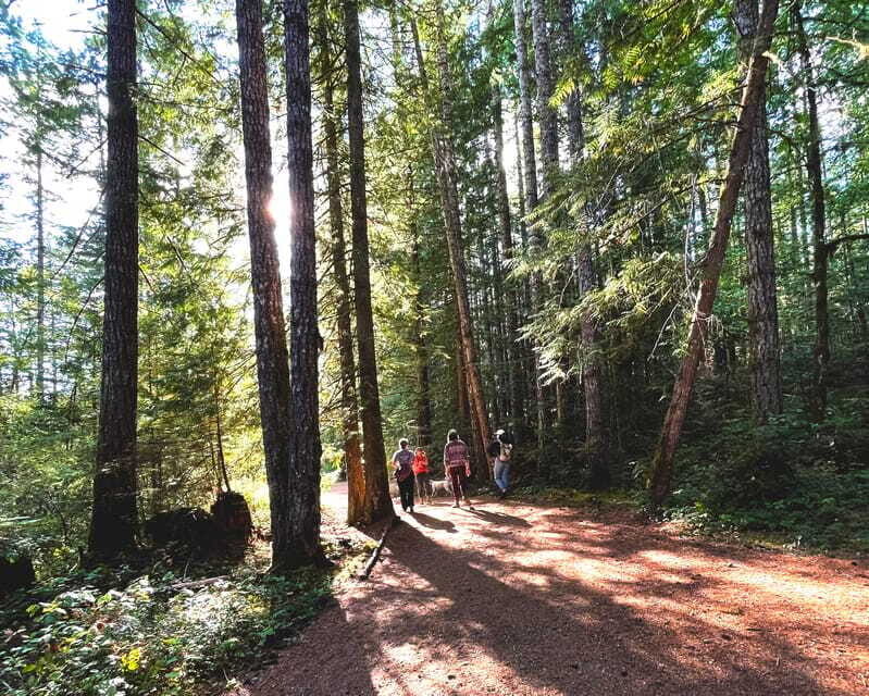 Nanaimo: Vancouver Island Waterfalls, Vistas, Hikes & Caves - Frequently Asked Questions