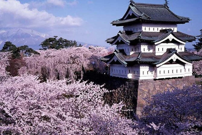 Nanbu Teodori Taught by the World's Top Master - Who should consider this tour?