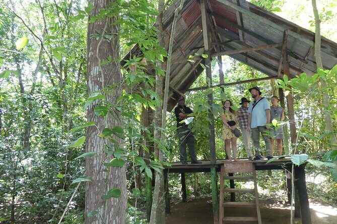 Nandana Tea Walking Tour in Sri Lanka - The Sum Up