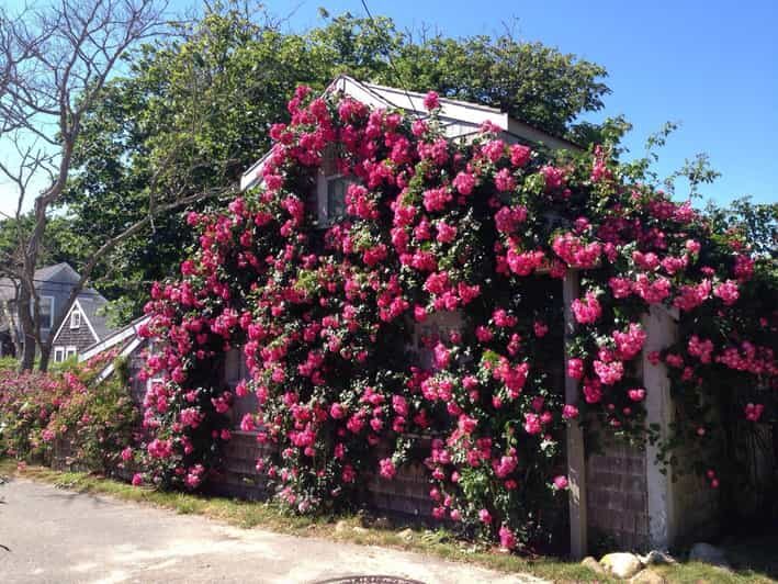 Nantucket: Historical Landmarks Sightseeing Bus Tour - Key Points