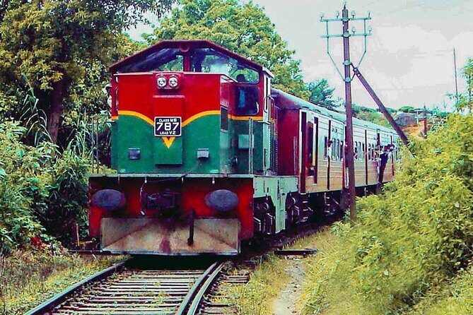 Nanu Oya to Kandy train ride on (Train No: 1016 "Udarata Menike") - What to Expect During the Trip