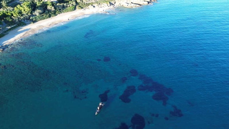 Naousa: Rineia, Delos, & Naxos Day Trip by Boat with Drinks - A Detailed Look at the Experience