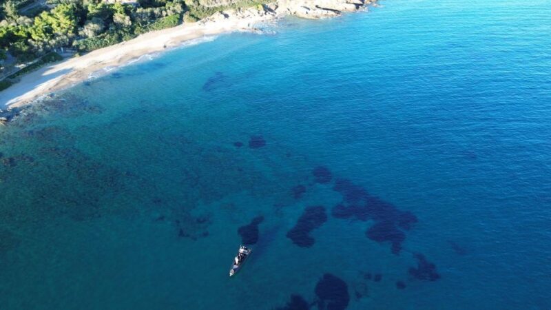 Naousa: Rineia, Delos, & Naxos Day Trip by Boat with Drinks - Authentic Insights from Past Travelers