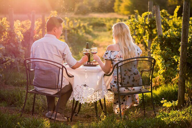 Napa or Sonoma Private Wine Tour from San Francisco - Key Points