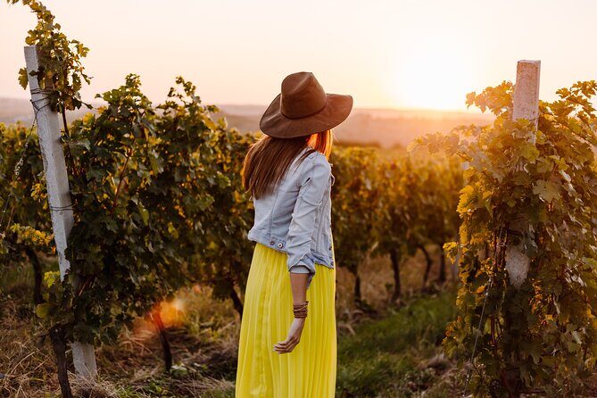 Napa or Sonoma Private Wine Tour from San Francisco - How Does It Compare to Other Experiences?