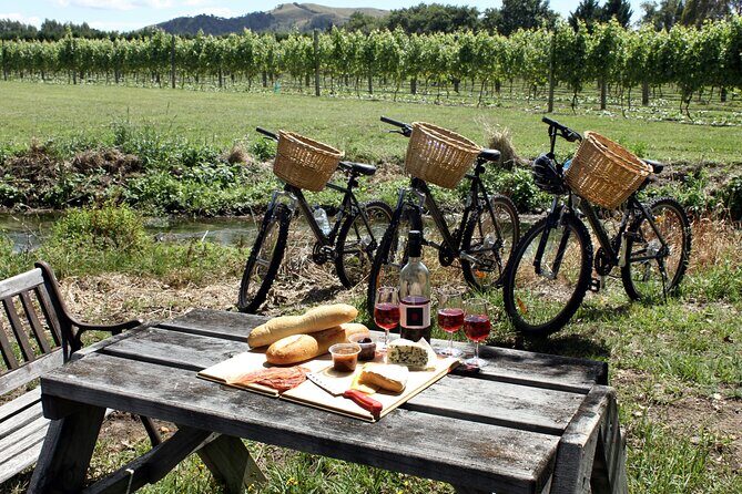 Napa or Sonoma Private Wine Tour from San Francisco - Pricing and Value: Is It Worth It?