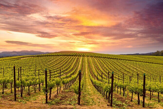 Napa or Sonoma Private Wine Tour from San Francisco - FAQ