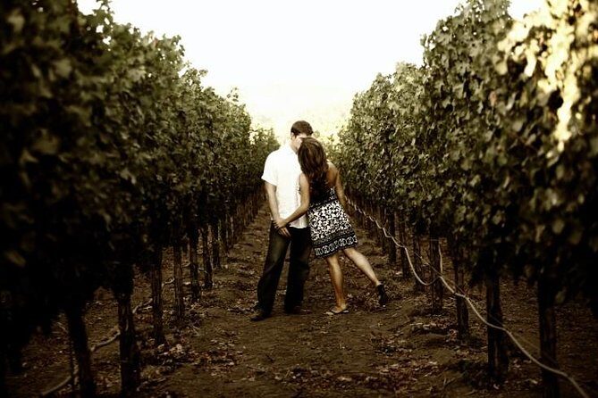 Napa - Sonoma Limo up to 9 passengers - Why Choose This Tour?