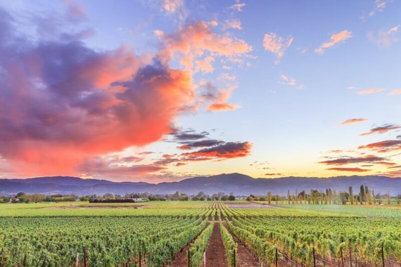 Napa Valley: Guided Wine Tour with Picnic Lunch - FAQ