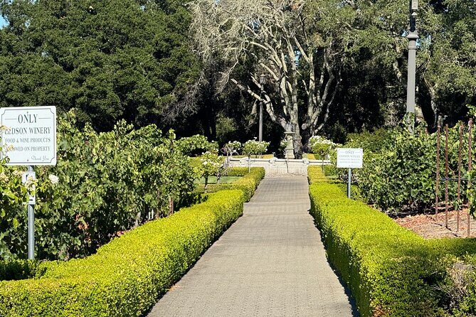 Napa Valley Luxury Wine Tours & Car Services - The Experience: What You Can Expect