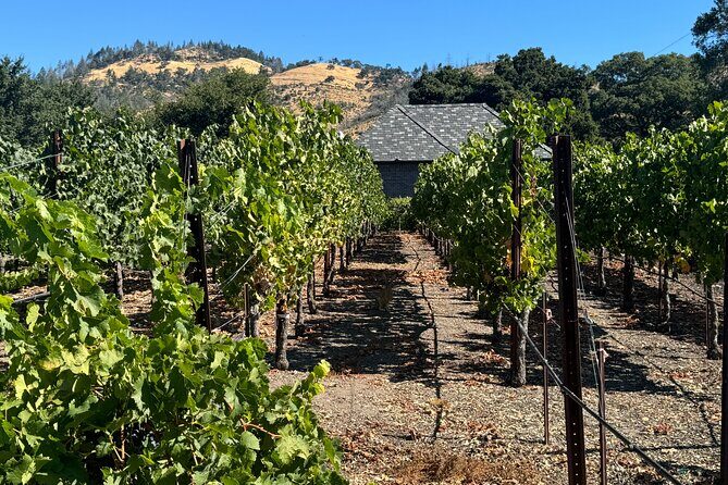 Napa Valley Luxury Wine Tours & Car Services - Who Would Love This Tour?