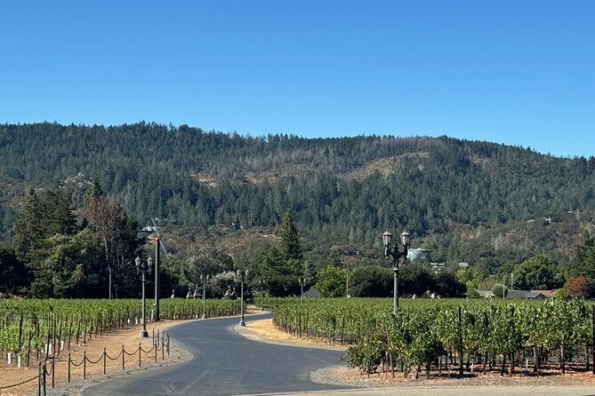 Napa Valley Luxury Wine Tours & Car Services - The Sum Up