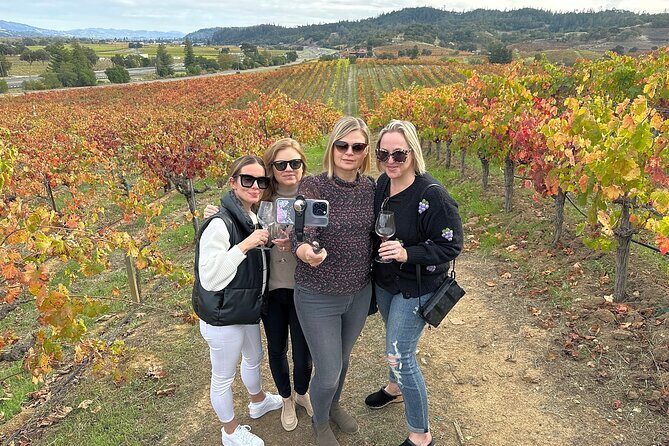 Napa Valley Mountainside Small Group Winery Tour - An In-Depth Look at the Napa Valley Mountainside Small Group Winery Tour