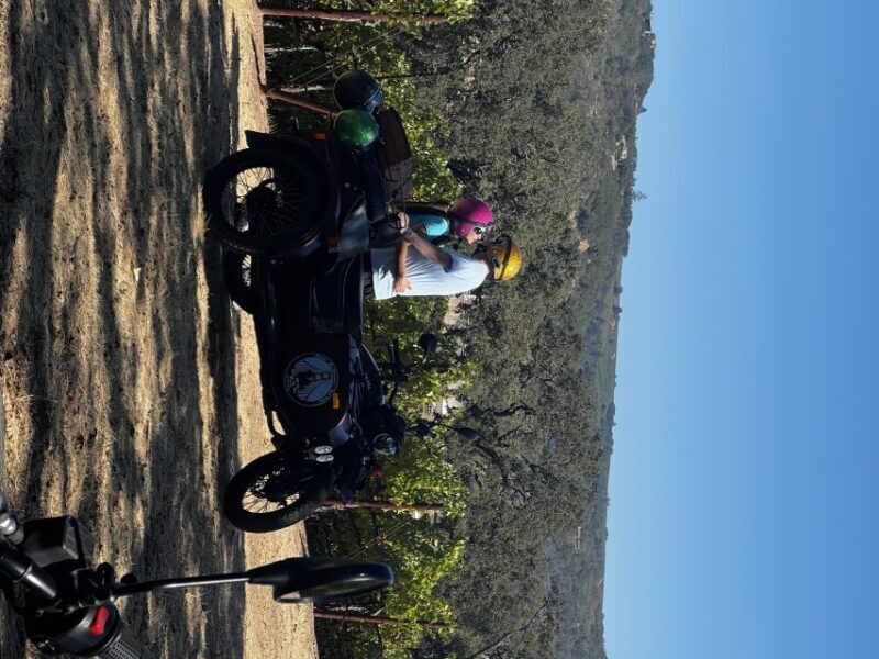 Napa Valley: Napa Valley Guided Sidecar Tour with 3 Wineries - Final Thoughts
