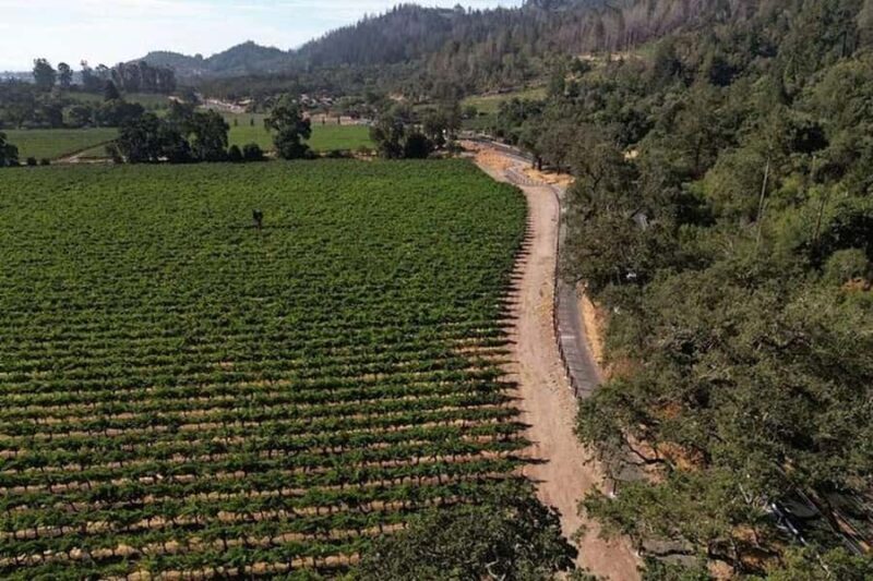 Napa Valley: Scenic E-Bike Tour (No Wineries) - Key Points