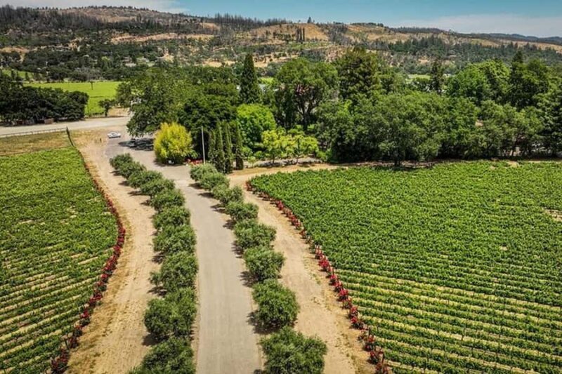 Napa Valley: Scenic E-Bike Tour (No Wineries) - A Closer Look at the Experience