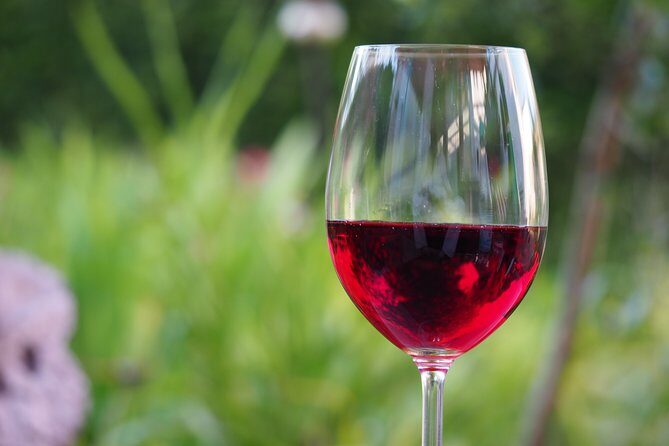 Napa Valley Wine Tasting Tour 6 to 8 Hours max 14 passenger - Exploring the Napa Valley Wine Tasting Tour