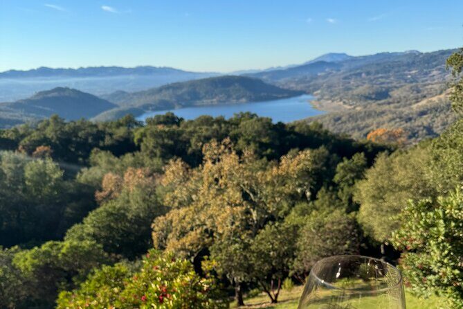 Napa Wine Tours - What’s Included and What’s Not