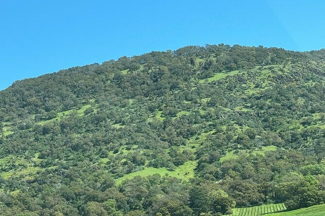 Napa Wine Tours - Analyzing the Value