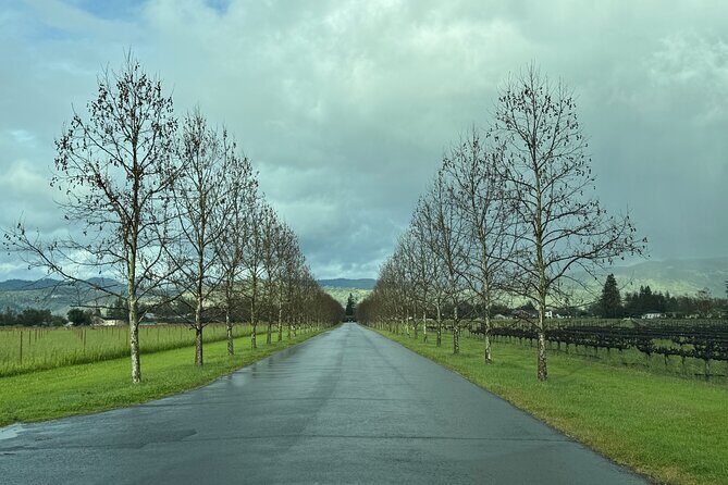 Napa Wine Tours - Who Would Love This Tour?