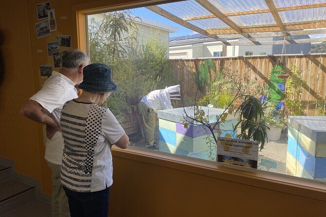 Napier and Hawkes Bay Scenic and Art Deco Tour by VW Kombi - Fruit and Honey Tastings