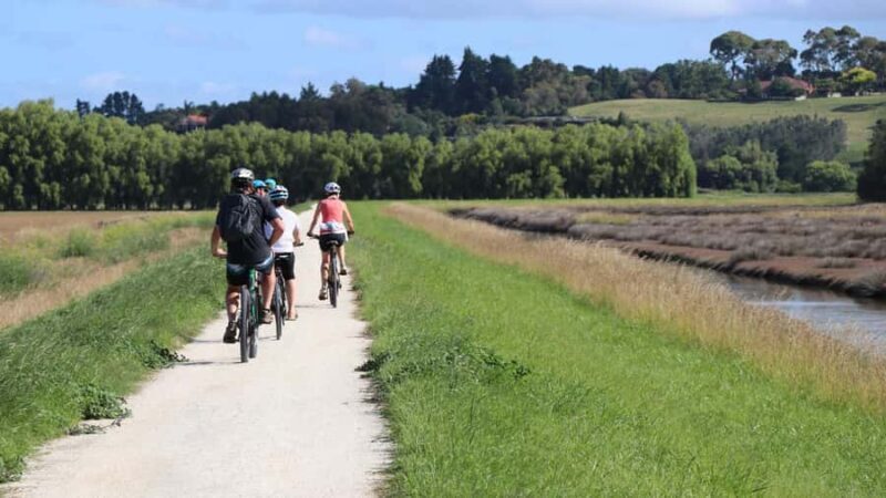 Napier: Art Deco Bike Ride and Wineries Loop - Exploring the Napier: Art Deco Bike Ride and Wineries Loop